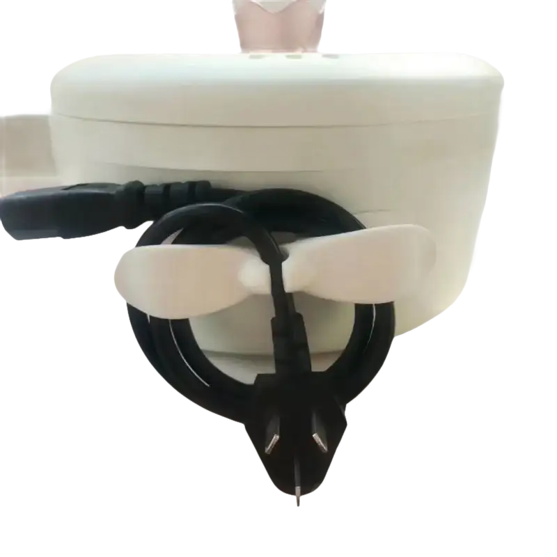 White sterilizer with power cord.