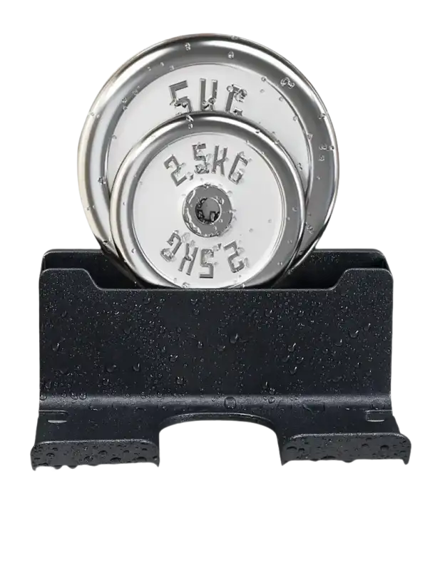 Weight plates in a black holder.