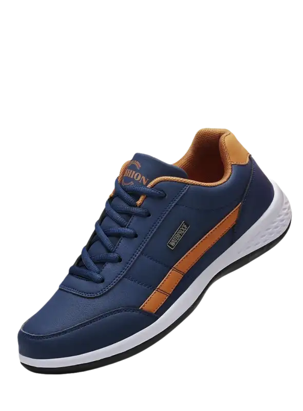 Blue and brown casual shoe.