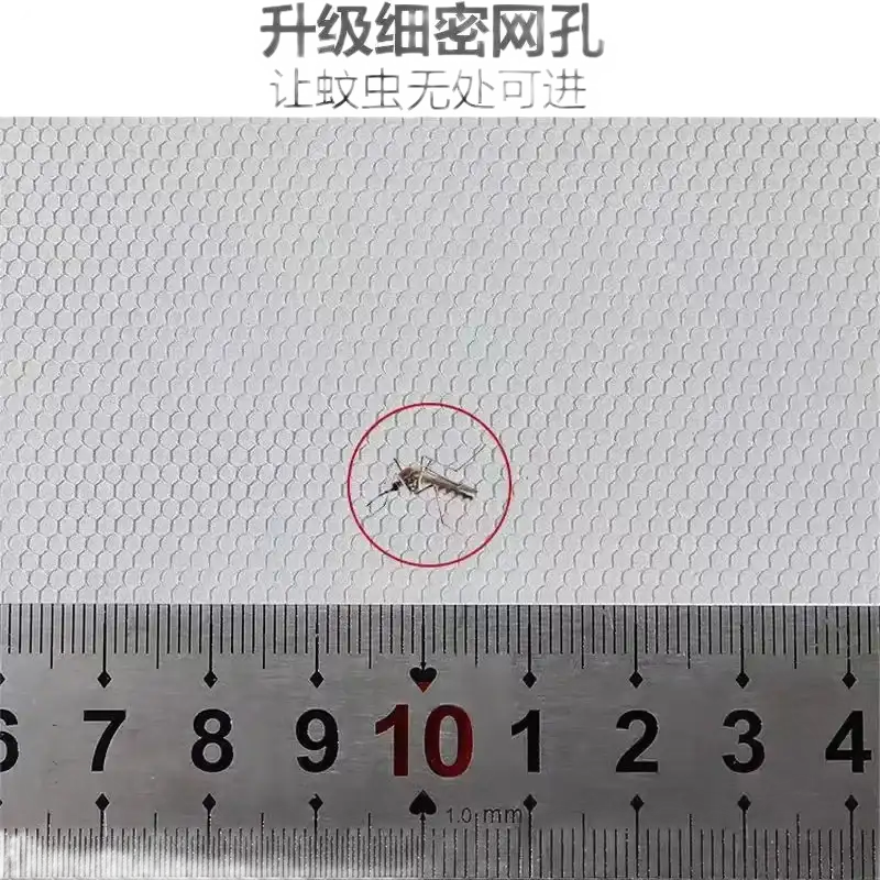 Mosquito on mesh with ruler.