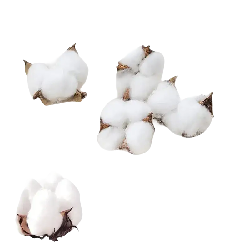 Fluffy cotton bolls.