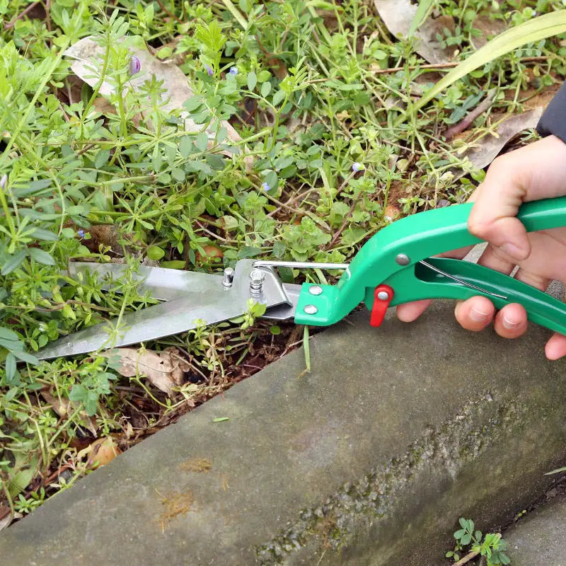 Green Thumb Kit
