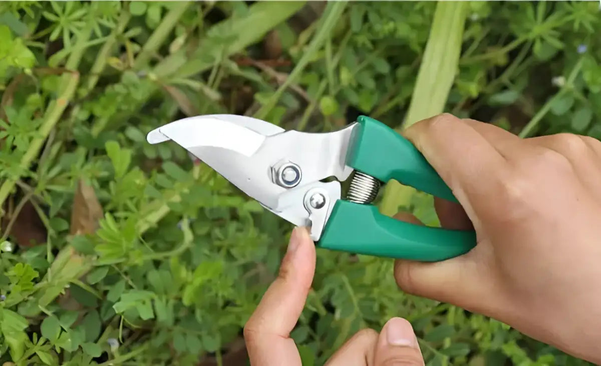 Green Thumb Kit