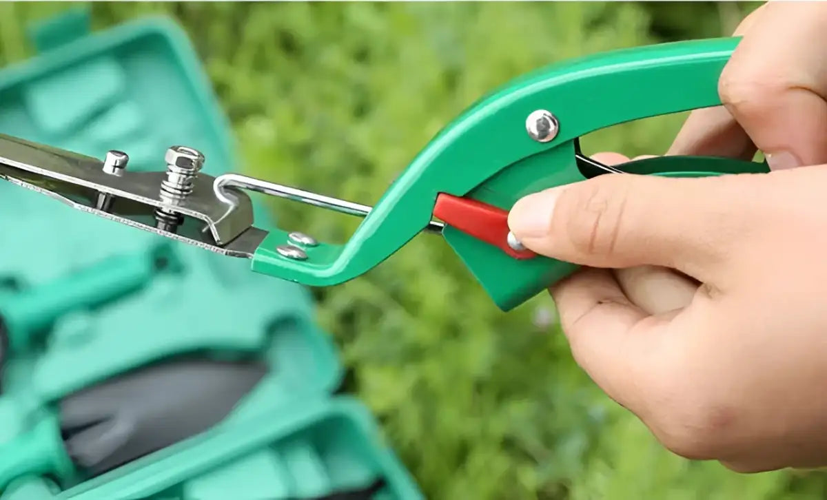 Green Thumb Kit