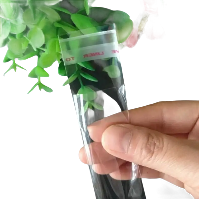 Clear cellophane bag.