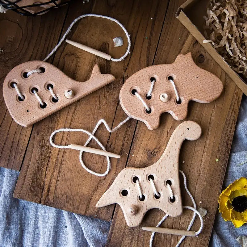 Thread & Learn: Early Education Toy for Young Kids