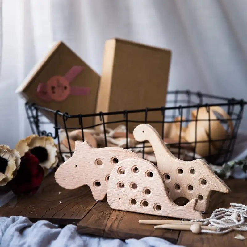 Thread & Learn: Early Education Toy for Young Kids