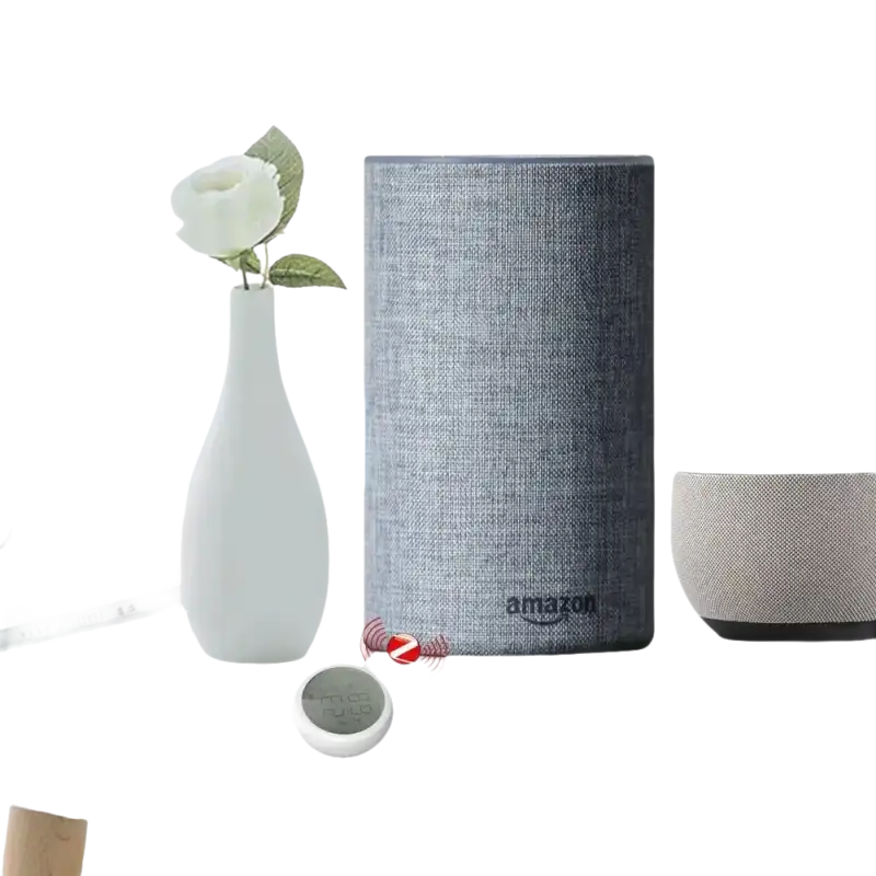 Voice-activated smart speakers.