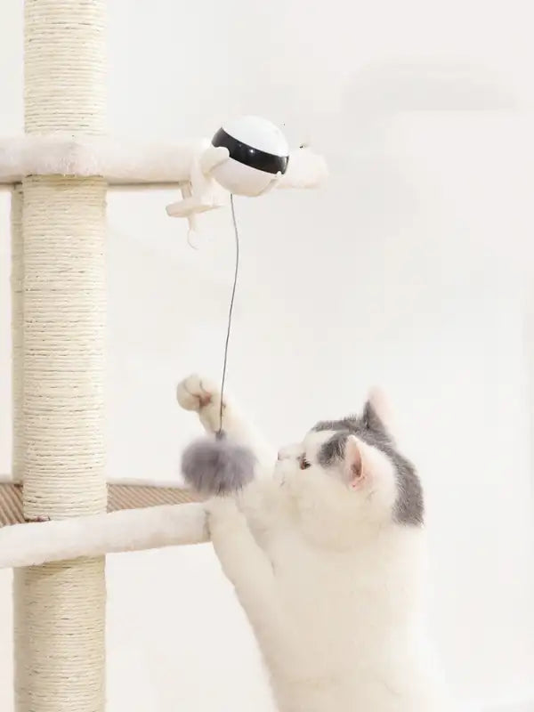 MotionKitty ๐พ