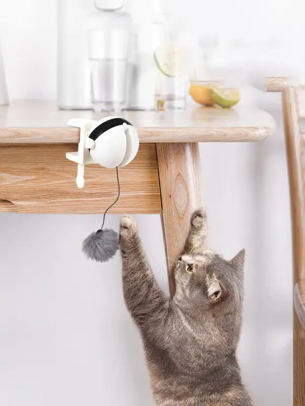 MotionKitty ๐พ