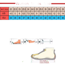 Women’s shoe size chart.