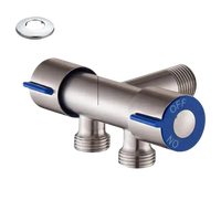 Silver-colored metal faucet with blue handles and labeled settings.