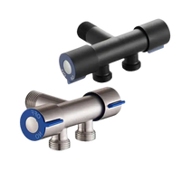 Two metal water valves.