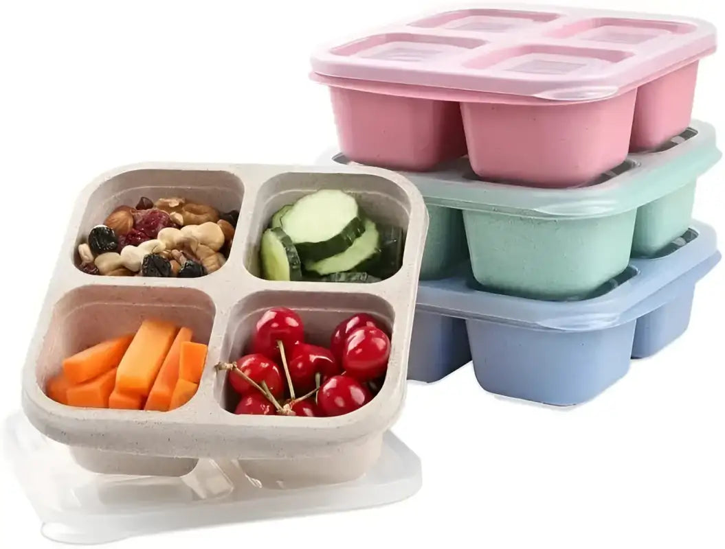 Snack Containers Divided Bento Lunch Chaos Tamers