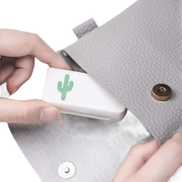 Gray purse with cactus case.
