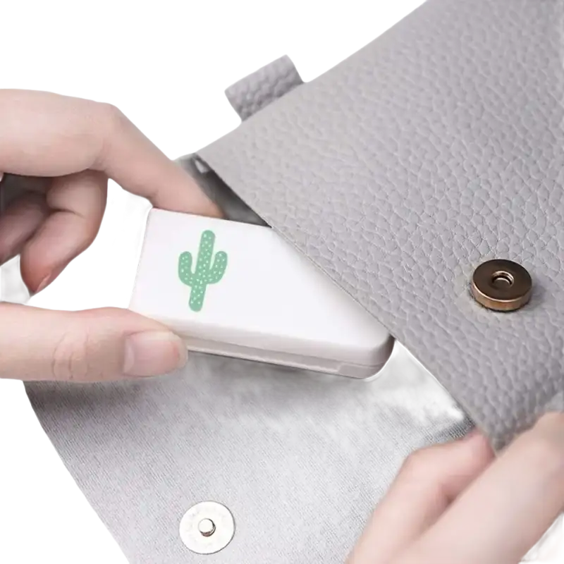 Gray purse with cactus case.