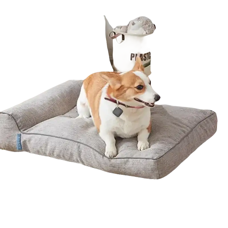 Gray dog bed with a corgi.