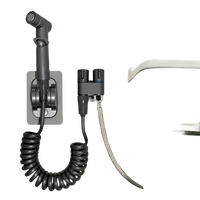 Bidet sprayer with coiled hose.