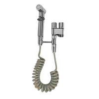 Silver bidet sprayer with coiled hose.