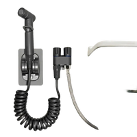 Bidet sprayer with coiled hose.