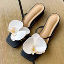 2025 New Summer Sandals Women Fashion Casual Beach Outdoor Wedge Platform Sandals Comfortable Anti-slip Women Shoes Big