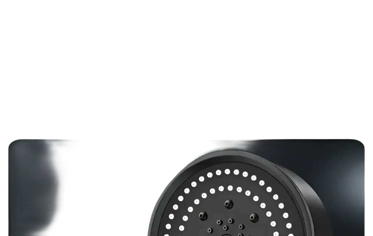 Black handheld shower head.