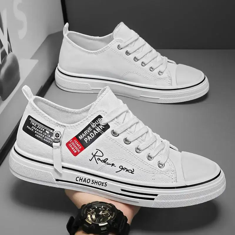 White / 43