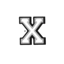 Letter X charm.