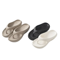 Assorted flip-flops.