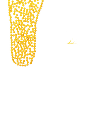 Yellow honeycomb insole with blue pad.