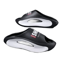 Black and white platform slides.