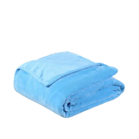 Folded light blue plush blanket.