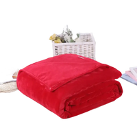 Folded red plush blanket.