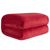 Folded red plush blanket.