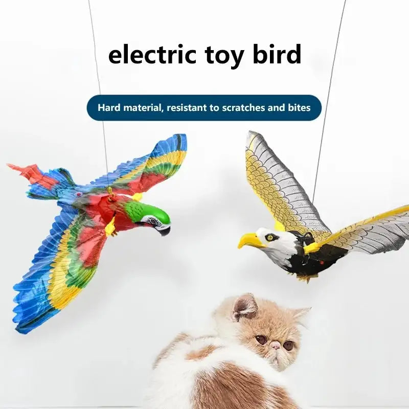 Flying Feline Feather Frenzy 🦅