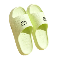 Light green cartoon-themed slides.