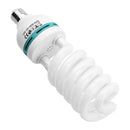 Spiral compact fluorescent light bulb.