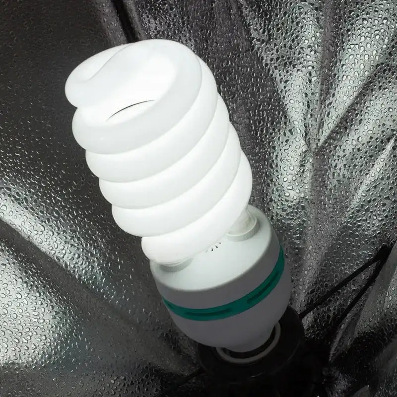 Bright compact fluorescent lightbulb.