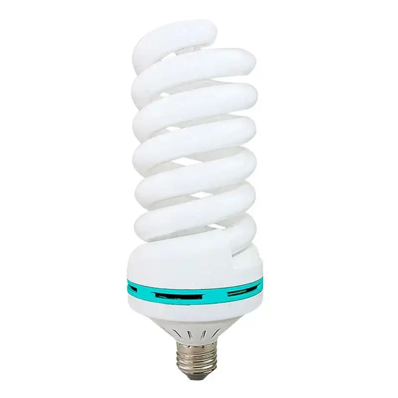 Spiral compact fluorescent light bulb.