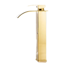 Gold-colored bathroom faucet.