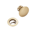 Gold-colored sink drain and stopper.