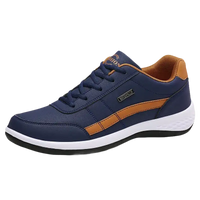 Blue and brown casual shoe.