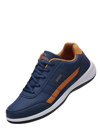 Blue and brown casual shoe.