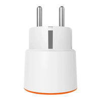 White European plug adapter.