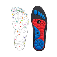 Foot reflexology chart and magnetic insole.