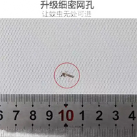 Mosquito on mesh with ruler.