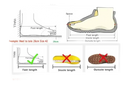 Footwear sizing guide.
