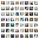 Anime character portraits.