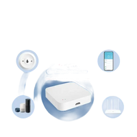 Zigbee smart water leak sensor detector.