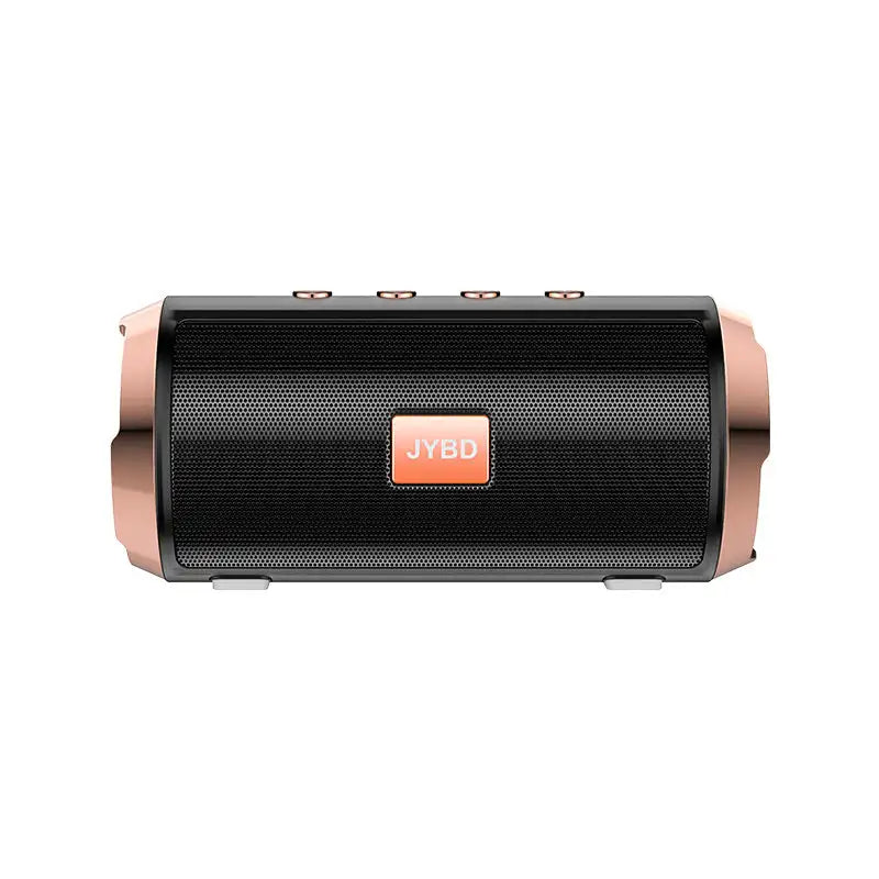 Our Beautiful Black and Bronze Portable Bluetooth Speaker